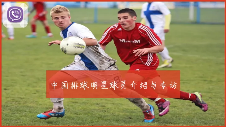 中国排球明星球员介绍与专访
